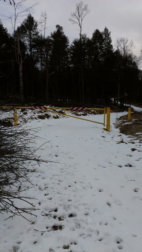 1995 Ford Bronco - A yellow barrier gate stands closed over a snowy road, blocking access to a wooded area.