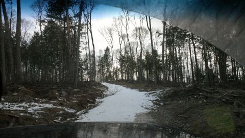 1995 Ford Bronco - A view of a snowy, wooded path, likely taken from inside a vehicle, with fallen branches and trees visible.