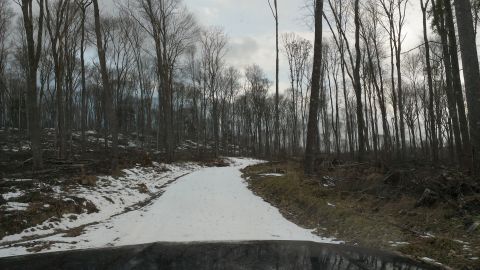 1995 Ford Bronco - Snowy forest road with a watermark at the bottom right.