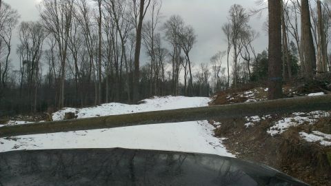 1995 Ford Bronco - The dashboard of a 1995 Ford Bronco is visible in the foreground of a snowy forest scene with a large fallen tree blocking the path.