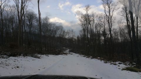 1995 Ford Bronco - View from inside a vehicle driving on a snowy road through a bare forest under a cloudy sky.