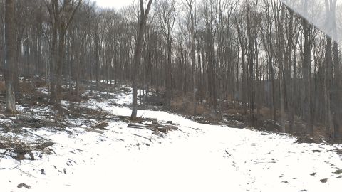 1995 Ford Bronco - A snowy road winds through a dense forest with bare trees.