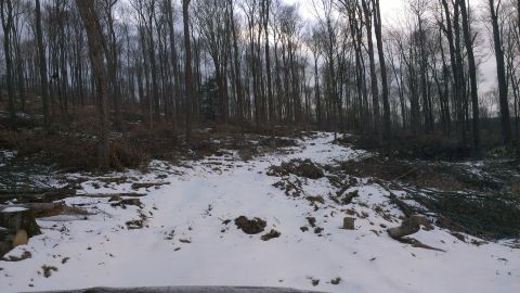 1995 Ford Bronco - A winter scene shows a path covered in snow and debris from felled trees.