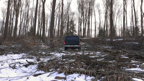 1995 Ford Bronco - A dark 1995 Ford Bronco is seen from the rear, navigating a snowy forest with fallen trees.