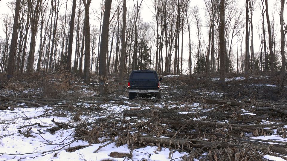Dark 1995 Ford Bronco rear view in snowy woods
