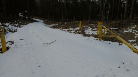 1995 Ford Bronco - A snowy road winds through a forest, passing a yellow gate and marked with tire tracks.