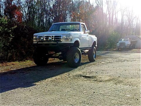 1995 Ford F-150 photo