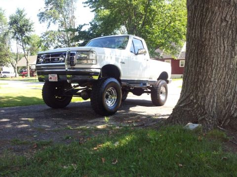 1995 Ford F-150 photo