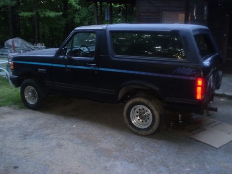 1979 Ford Bronco - This dark blue SUV features a distinctive blue and purple stripe along its side and a 'Nite' decal on the rear quarter panel.