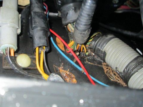 1992 Ford Bronco - see broken wires on thick harness on right hand side