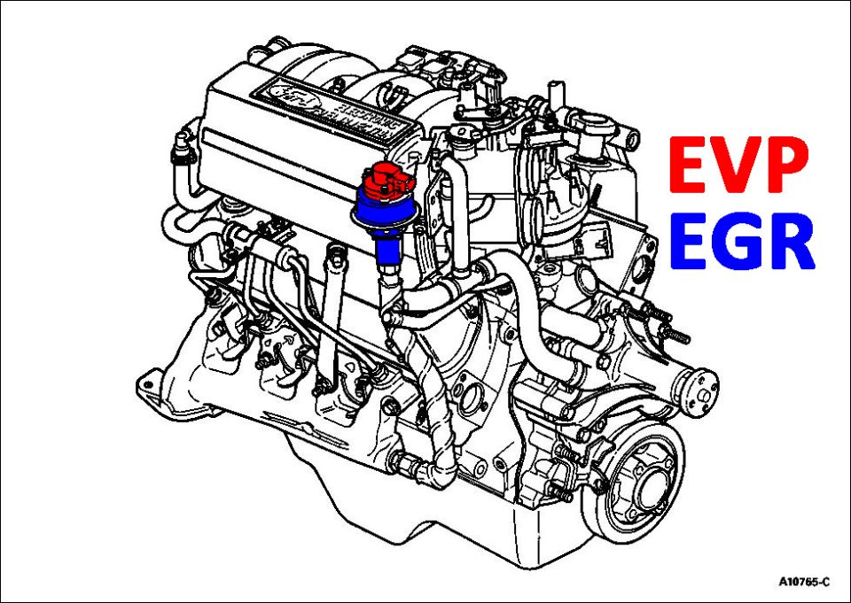 Engine drawing highlighting EVP/EGR valve location in red and blue labels