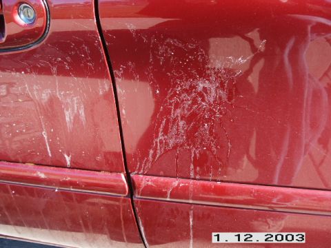 1998 Mercury Sable - Bird droppings on the side of a red vehicle door.