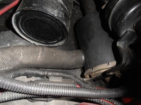 1990 Ford Bronco - Close-up view of various hoses and wiring harnesses within a vehicle's engine compartment.
