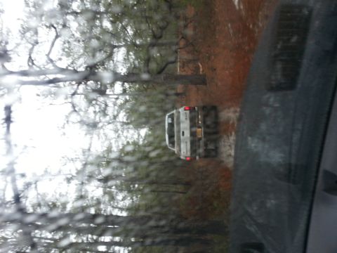 1987 Toyota 4Runner - A white pickup truck drives on a dirt road through a wooded area.