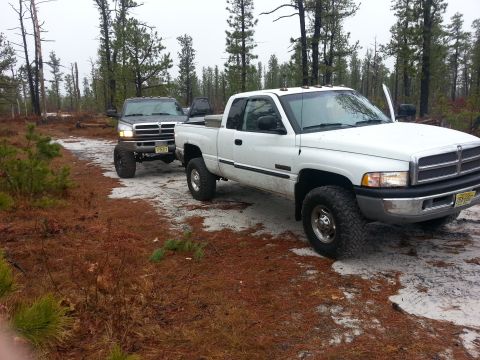 1987 Toyota 4Runner - Two pickup trucks are parked on a sandy, wooded trail under an overcast sky.