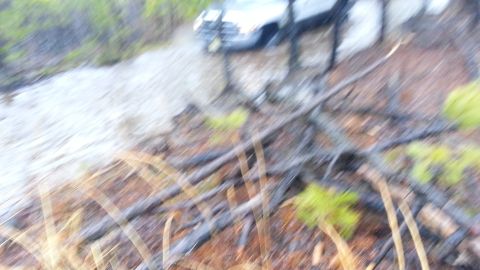 1987 Toyota 4Runner - A dark SUV navigates a wet, muddy path through a wooded area.