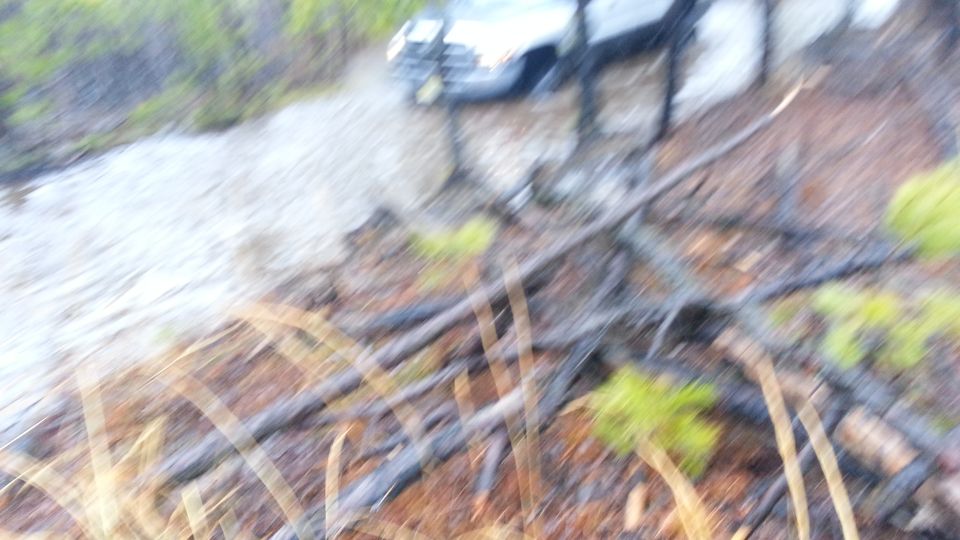Blurry dark SUV driving on a wet, muddy path with fallen branches