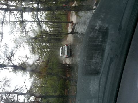 1987 Toyota 4Runner - A white pickup truck navigates a flooded road surrounded by trees.
