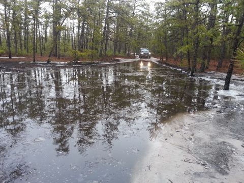 1987 Toyota 4Runner - A vehicle navigates a waterlogged path surrounded by dense woods.