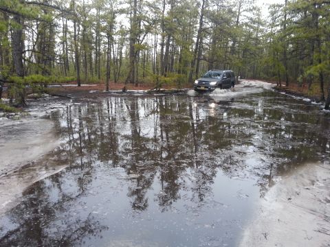 1987 Toyota 4Runner - A dark SUV navigates a flooded forest path, kicking up water as it drives.