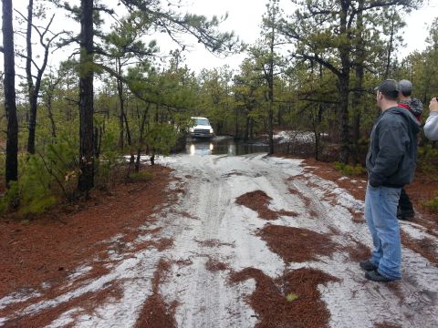 1987 Toyota 4Runner - A white SUV navigates a waterlogged dirt path surrounded by dense pine forest.