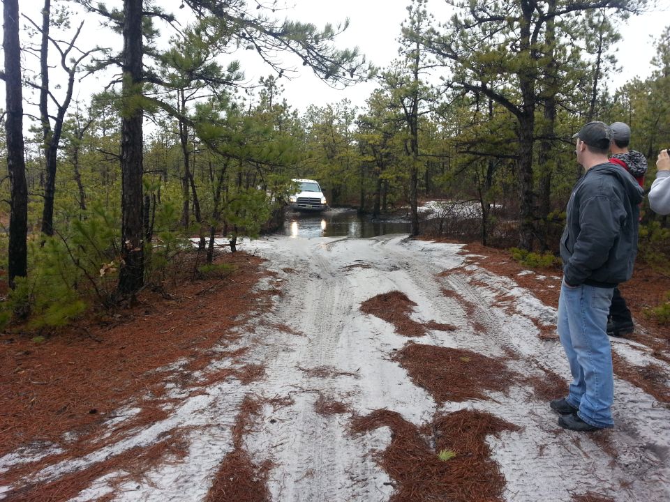 White SUV driving through a muddy forest road with pine trees and sand