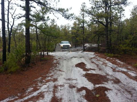 1987 Toyota 4Runner - A white pickup truck navigates a wet, sandy path through a pine forest.