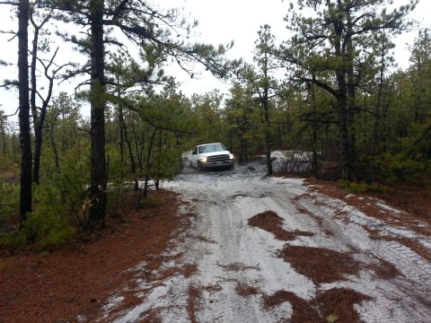 1987 Toyota 4Runner - A white pickup truck navigates a wet, sandy track through a dense pine forest.