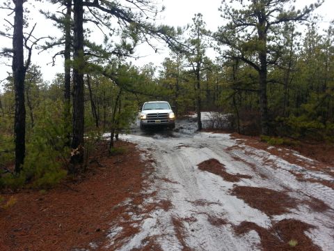 1987 Toyota 4Runner - A white pickup truck navigates a sandy path through a pine forest.