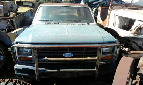 1994 Ford Bronco - This old Ford pickup truck is in a junkyard, surrounded by other weathered vehicles.