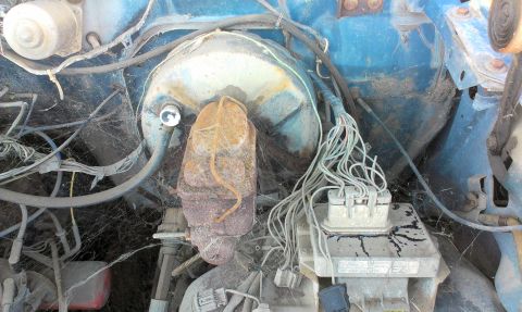 1994 Ford Bronco - This engine bay is filled with cobwebs, showing the brake booster and electrical components.