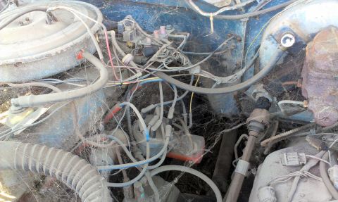 1994 Ford Bronco - The engine bay of a vehicle, obscured by cobwebs and dust, reveals a complex network of wires and engine parts.