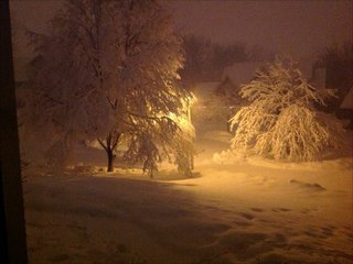 1976 Ford Bronco - A winter scene with snow-covered trees illuminated by a light, a watermark at the bottom.