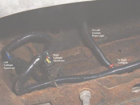 1986 Ford Bronco - Wiring harness for taillights and license plate light, showing connectors and routing.