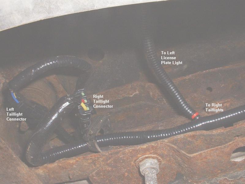 Labeled rear taillight wiring harness in black loom routed over a rusty frame rail