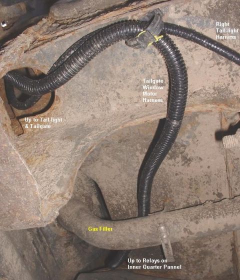 1986 Ford Bronco - This photo shows the wiring harnesses and gas filler neck, not specific vehicle details.