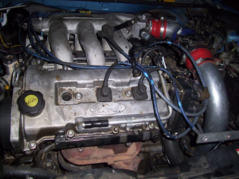 Engine bay with Ford logo on valve cover. Red and silver intake piping visible