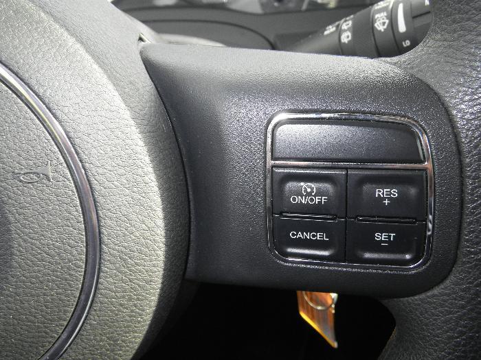Close-up of steering wheel with cruise control buttons and horn symbol