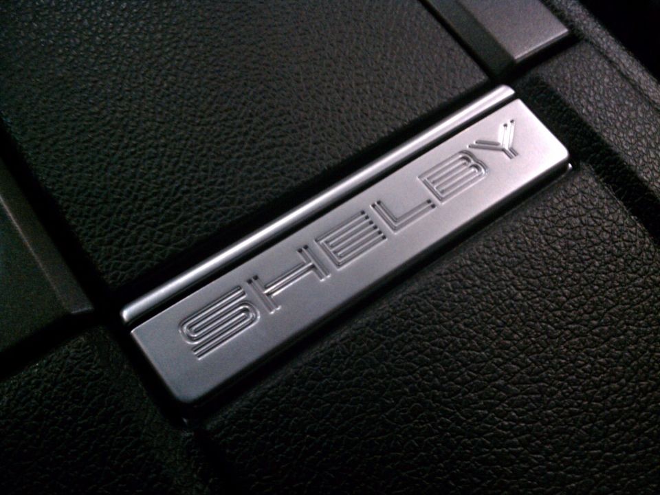 Shelby badge on black textured interior trim