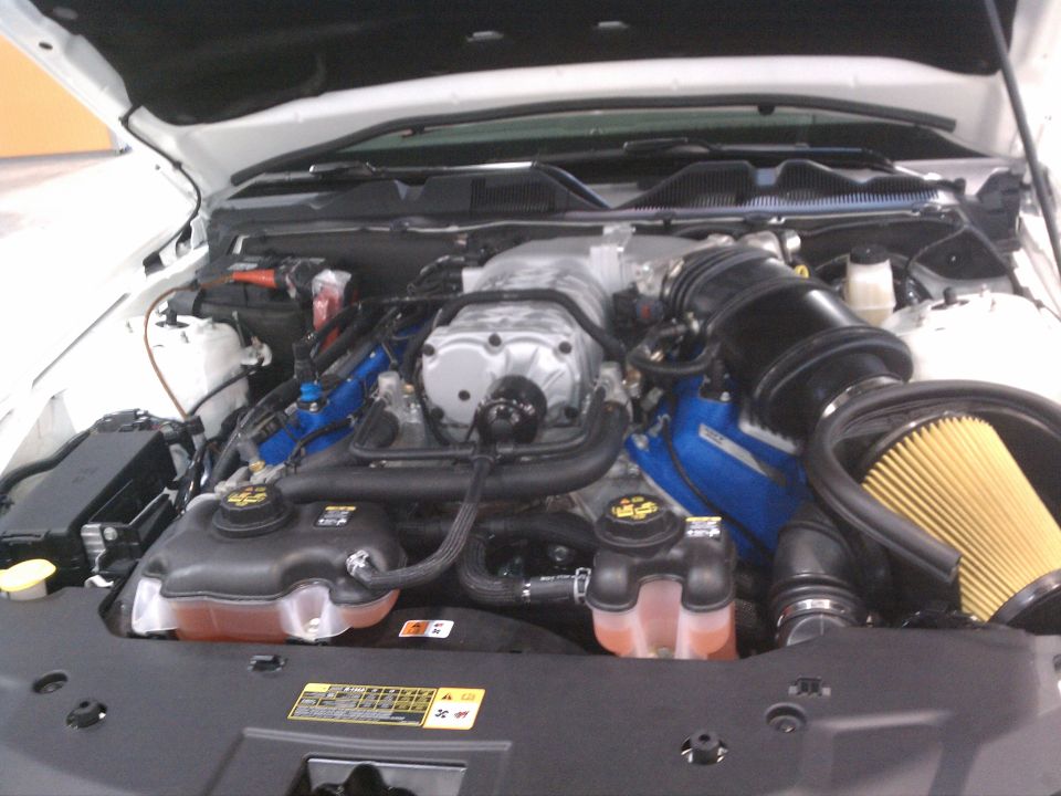 Engine bay with a supercharger and yellow air filter