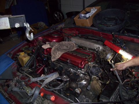 1995 Ford Probe - Mechanic works on the engine of a 1995 Ford Probe, showing the red valve cover and various engine components.