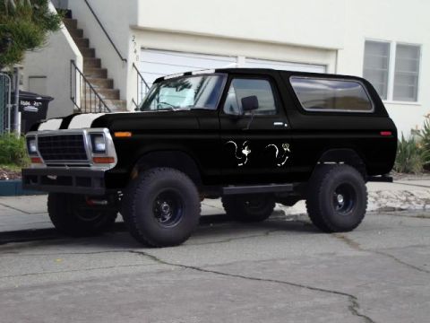 1994 Ford Bronco - This modified 1978 Ford Bronco features a black paint job with white racing stripes and humorous skunk decals on the side.