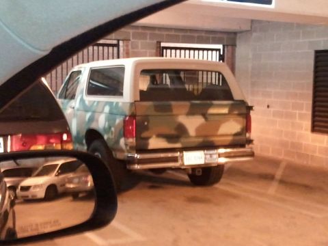 1994 Ford Bronco - This 1994 Ford Bronco sports a unique camouflage paint job, seen here from the rear.