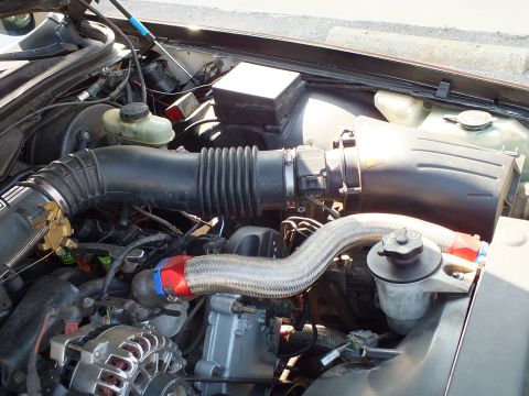 2003 Ford Crown Victoria - Air intake plumbing from throttle body to airbox with braided hose and coolant tanks behind