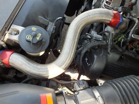 2003 Ford Crown Victoria - Stainless braided hose curving across the engine bay past a black fluid reservoir cap
