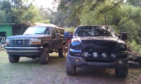 1993 Ford Bronco - Two Ford trucks, a Bronco and an F-150, are parked on a grassy area with trees in the background.