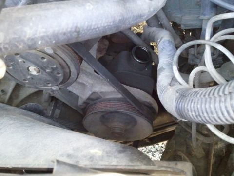 1994 Ford Bronco - Close-up view of engine components including pulleys, belts, and hoses.