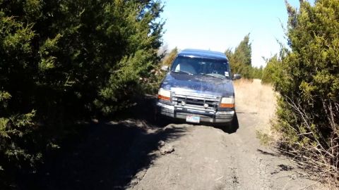 1995 Ford Bronco - 1995 Ford Bronco navigating a dirt road through a wooded area.
