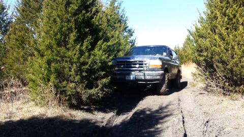 1995 Ford Bronco - A dark SUV navigates a muddy dirt track surrounded by dense trees under a clear blue sky.