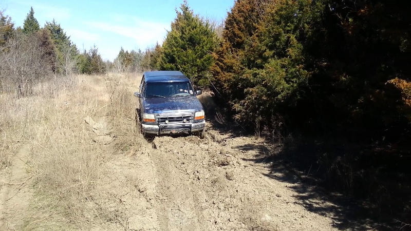 Blue 1995 Ford Bronco stuck in mud on a wooded trail